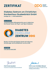 Urkunde DDG Exzellenzzentrum